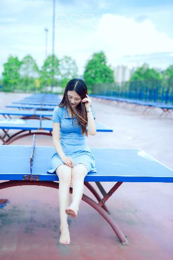 入青云电视剧免费观看全集完整版